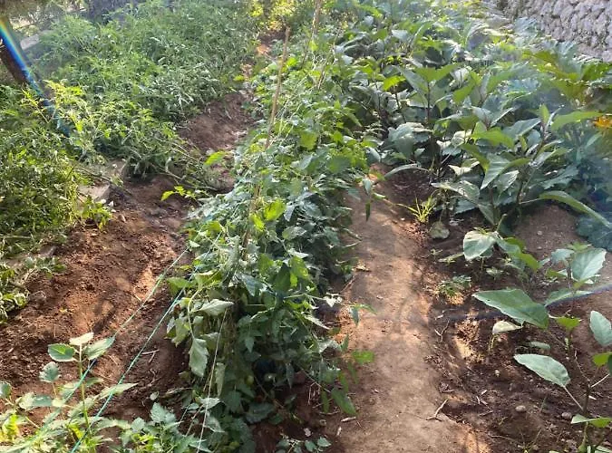 Penthouse Donna Carmela וילה