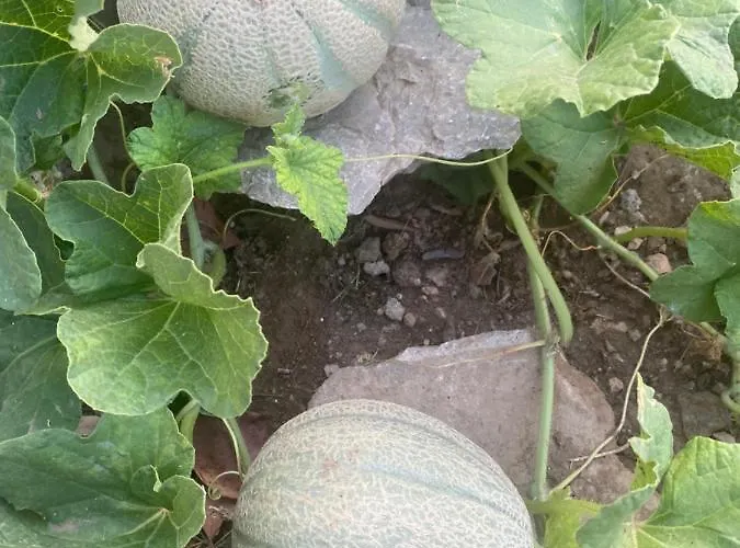 וילה Penthouse Donna Carmela