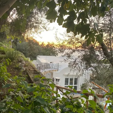 Willa Penthouse Donna Carmela Anacapri (Isola di Capri)