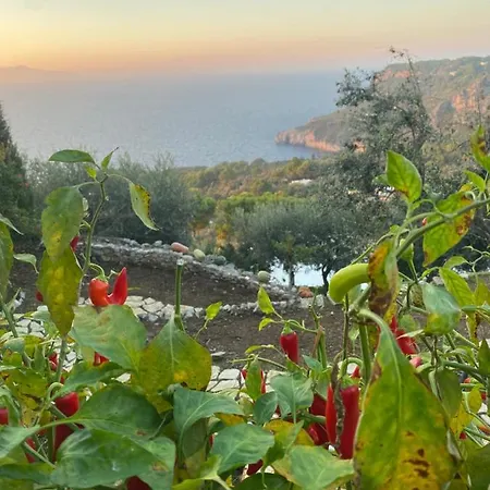 Penthouse Donna Carmela * Anacapri (Isola di Capri)