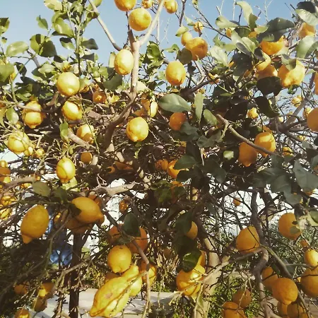 Penthouse Donna Carmela