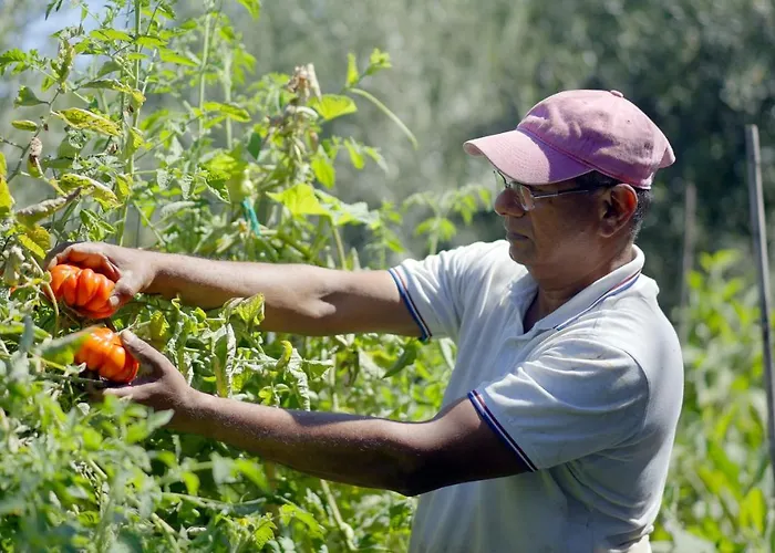 Villa Penthouse Donna Carmela Anacapri (Isola di Capri)
