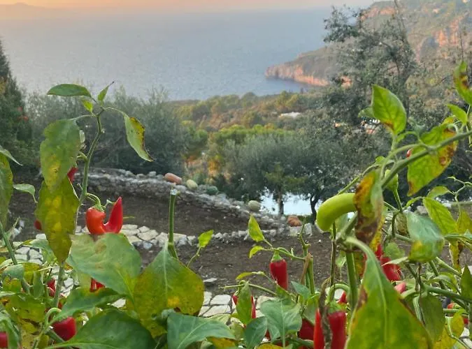 Penthouse Donna Carmela * Anacapri (Isola di Capri)