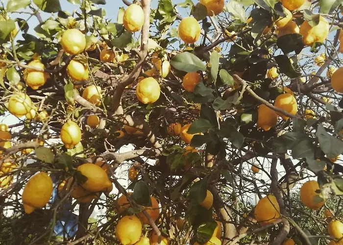 Penthouse Donna Carmela