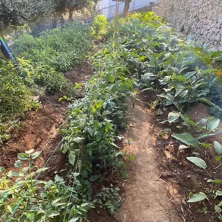 Penthouse Donna Carmela וילה