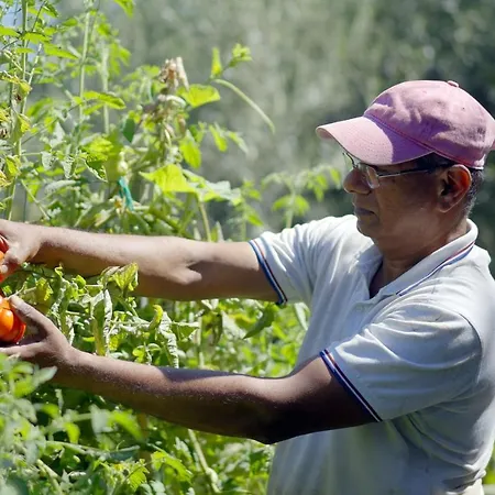 וילה Penthouse Donna Carmela אנה קאפרי